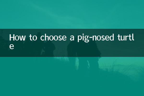 Как выбрать свиноносую черепаху