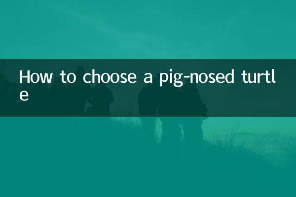 نحوه انتخاب لاک پشت بینی خوک