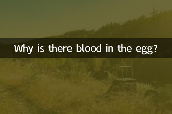 为什么鸡蛋里面有血