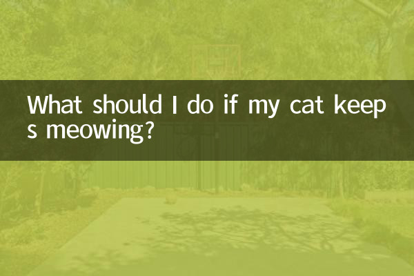 अगर मेरी बिल्ली म्याऊं-म्याऊं करती रहे तो मुझे क्या करना चाहिए?