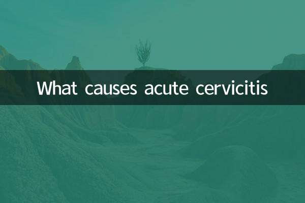 Quelles sont les causes de la cervicite aiguë