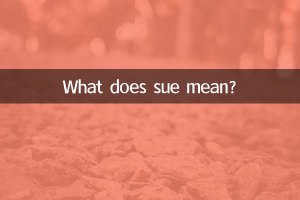 sue是什麼意思人名