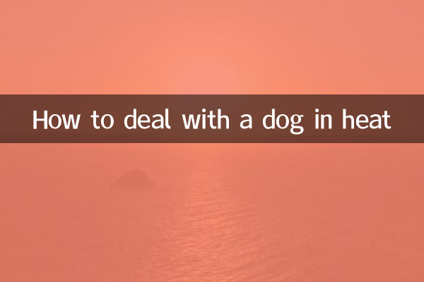 Cómo lidiar con una perra en celo