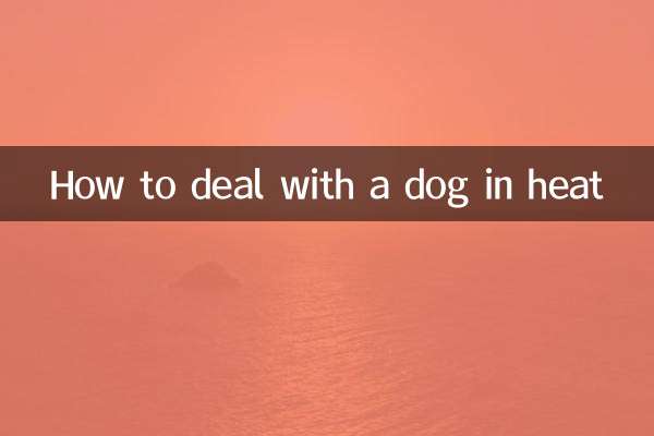 गर्मी में कुत्ते से कैसे निपटें?