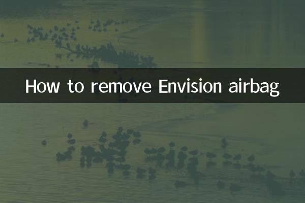 एनविज़न एयरबैग को कैसे हटाएं