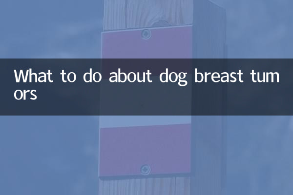 Qué hacer con los tumores de mama en perros