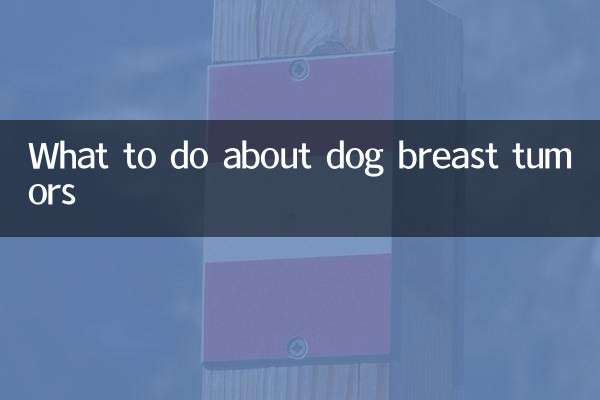 Qué hacer con los tumores de mama en perros