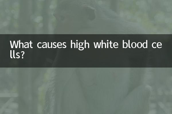 উচ্চ শ্বেত রক্তকণিকা কেন হয়?