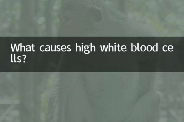 উচ্চ শ্বেত রক্তকণিকা কেন হয়?