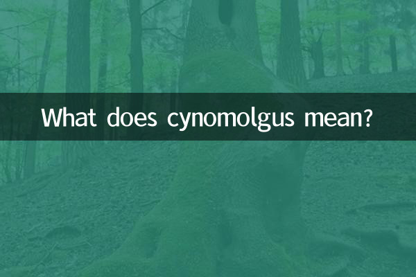 What does cynomolgus mean?