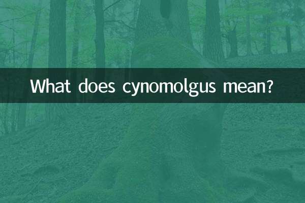 What does cynomolgus mean?