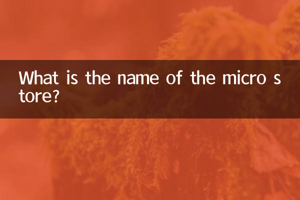 What is the name of the micro store?