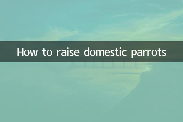 국내 앵무새를 키우는 방법