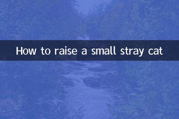 Cómo criar a un pequeño gato callejero