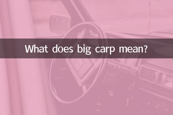 بگ کارپ کا کیا مطلب ہے؟
