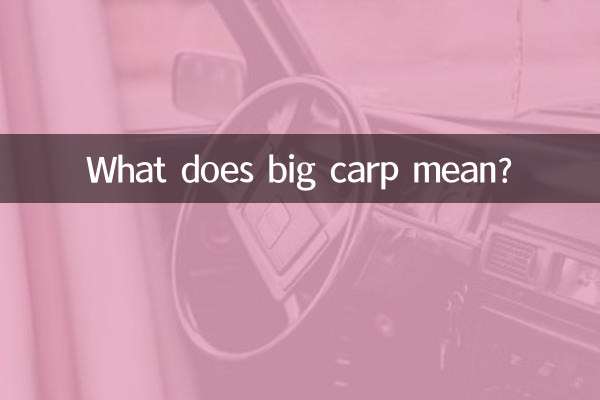 Cosa significa carpa grande?