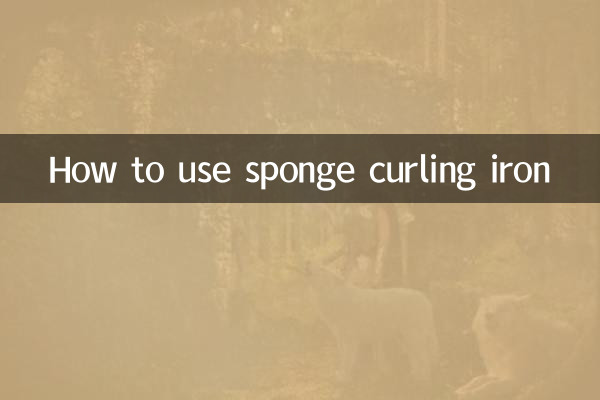 Como usar o modelador de cachos de esponja