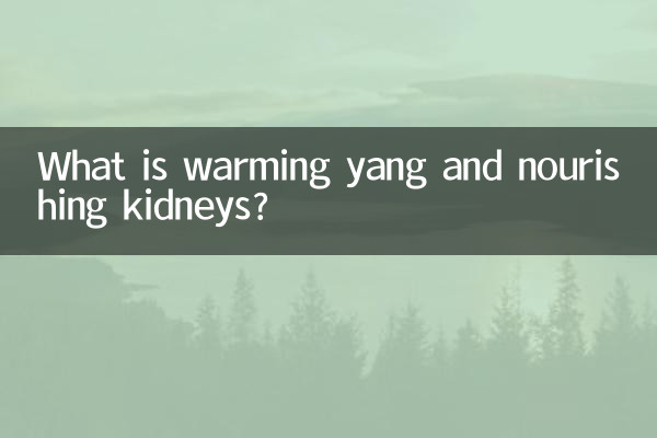 Что такое согревание Ян и питание почек?
