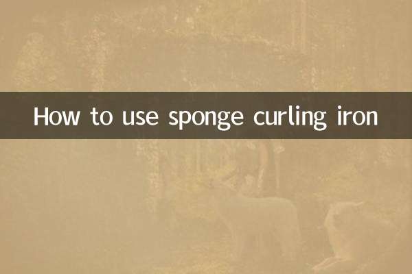 海綿捲髮器怎麼用