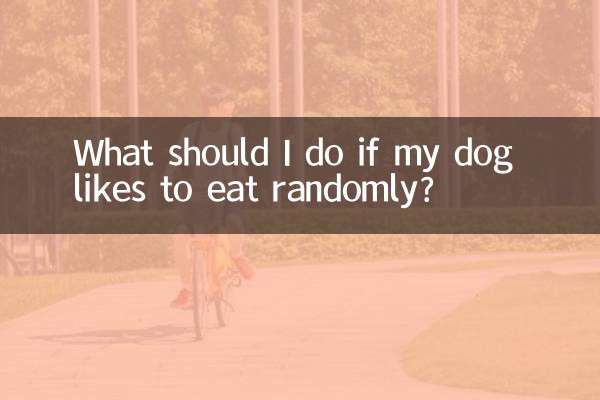 犬がランダムに食べるのを好む場合はどうすればよいですか?