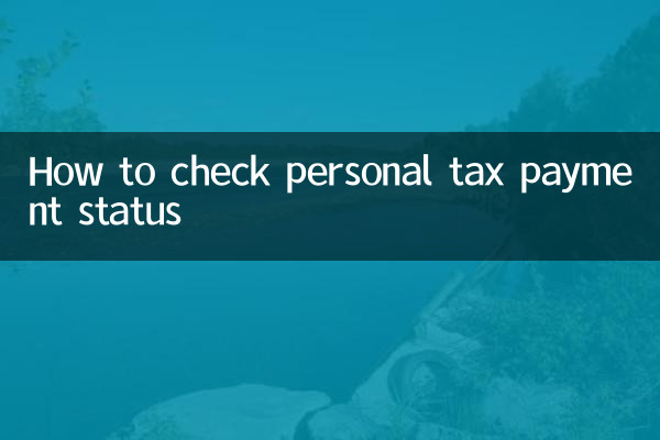 ٹیکس کی ادائیگی کی ذاتی حیثیت کو کیسے چیک کریں