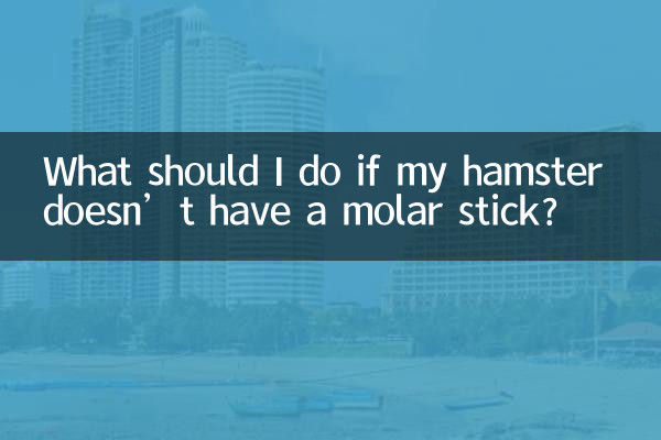 यदि मेरे हम्सटर के पास दाढ़ की छड़ी नहीं है तो मुझे क्या करना चाहिए?