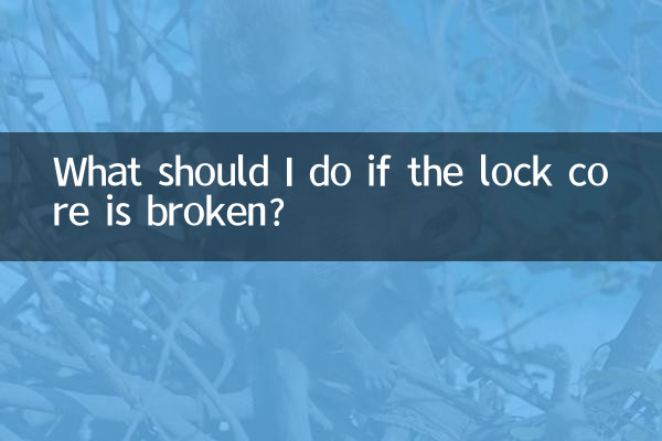 Was soll ich tun, wenn der Schlosskern kaputt ist?