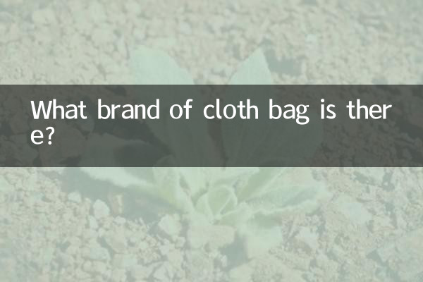 ما هي العلامة التجارية لحقيبة القماش الموجودة؟