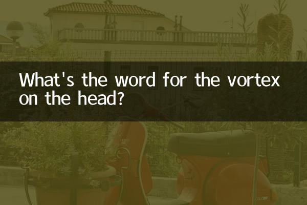 頭の上の渦を表す言葉は何ですか?
