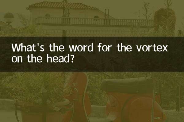 মাথার ঘূর্ণি জন্য শব্দ কি?