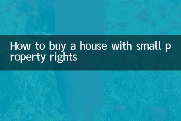 소액재산권으로 집을 구하는 방법