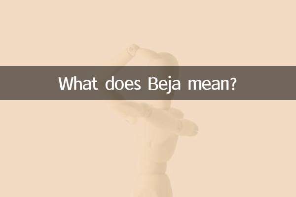 貝雅是什麼意思