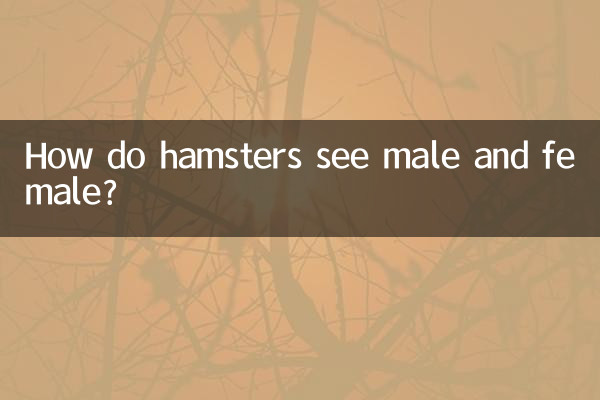 Comment les hamsters voient-ils les mâles et les femelles ?