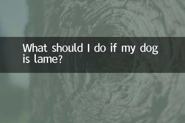 यदि मेरा कुत्ता लंगड़ा है तो मुझे क्या करना चाहिए?