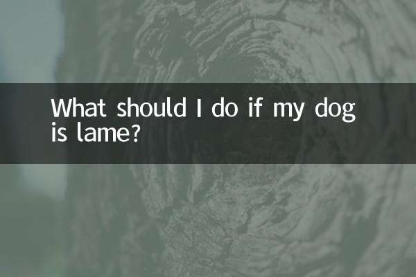 What should I do if my dog is lame?