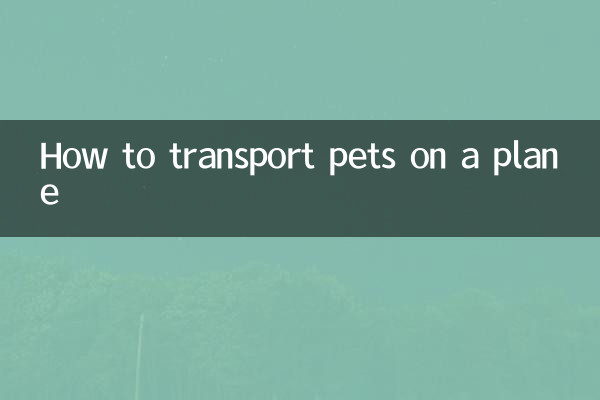 飛機怎麼托運寵物