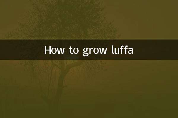 لوفہ کو کیسے اگائیں