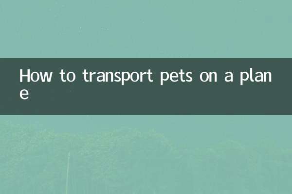 ペットを飛行機に乗せる方法