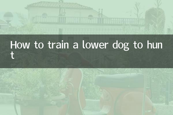 کس طرح ایک نچلے کتے کو شکار کرنے کے لئے تربیت دیں