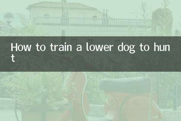 शिकार करने के लिए निचले कुत्ते को कैसे प्रशिक्षित करें