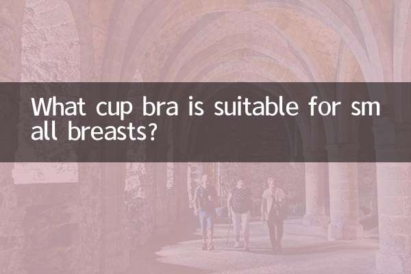小胸适合什么罩杯内衣