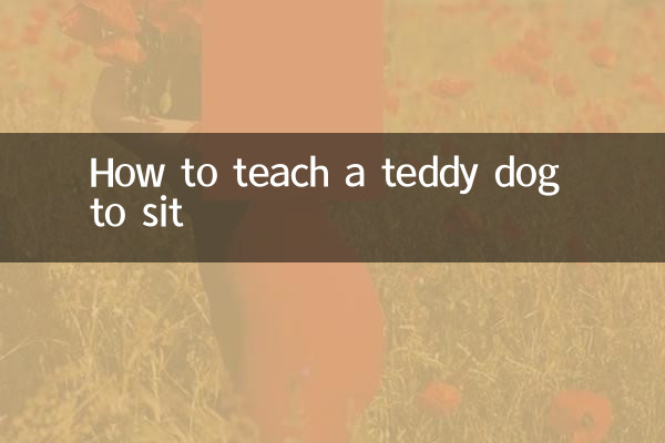 Como ensinar um cachorro de pelúcia a sentar