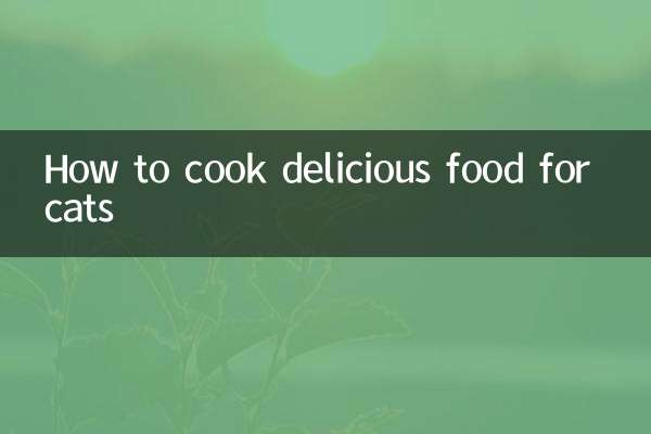 How to cook delicious food for cats