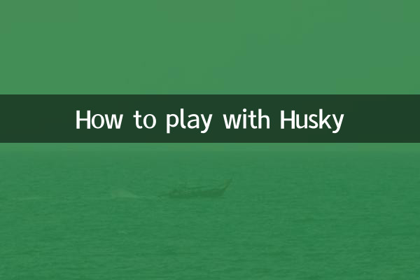 How to play with Husky