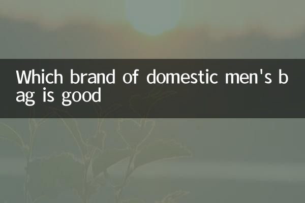 Which brand of domestic men's bag is good