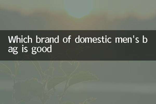 Which brand of domestic men's bag is good
