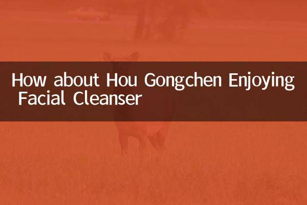 कैसे के बारे में hou gongchen चेहरे क्लीन्ज़र का आनंद ले रहे हैं