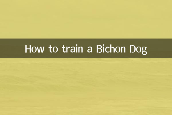 Come addestrare un cane da bichon