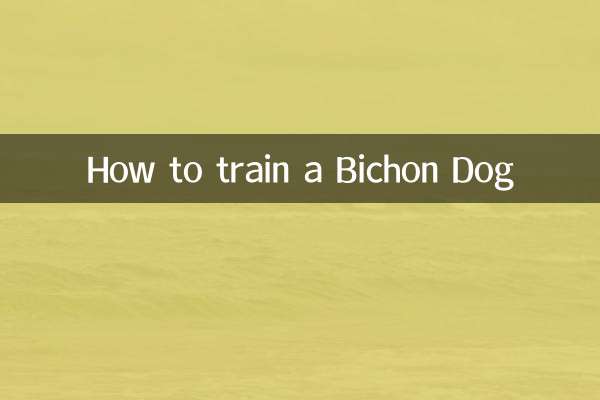 Come addestrare un cane da bichon