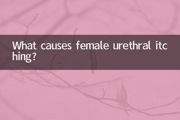¿Qué causa la picazón uretral femenina?